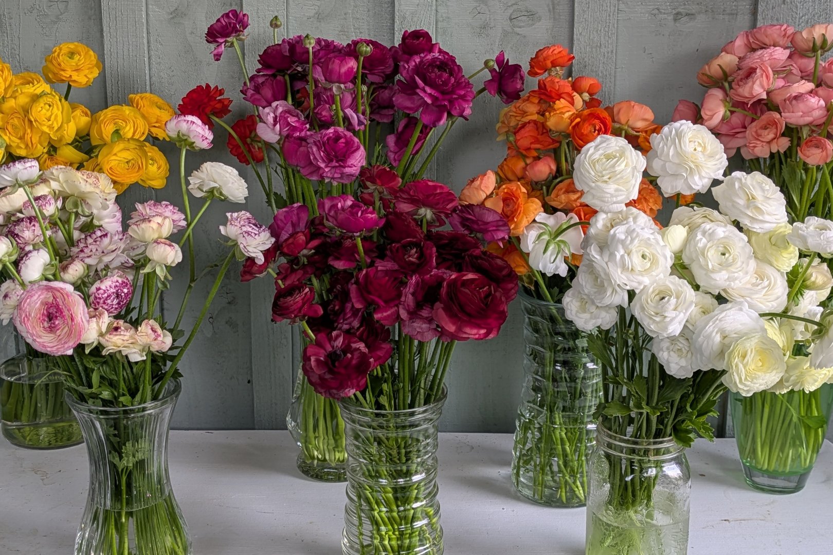Flowers